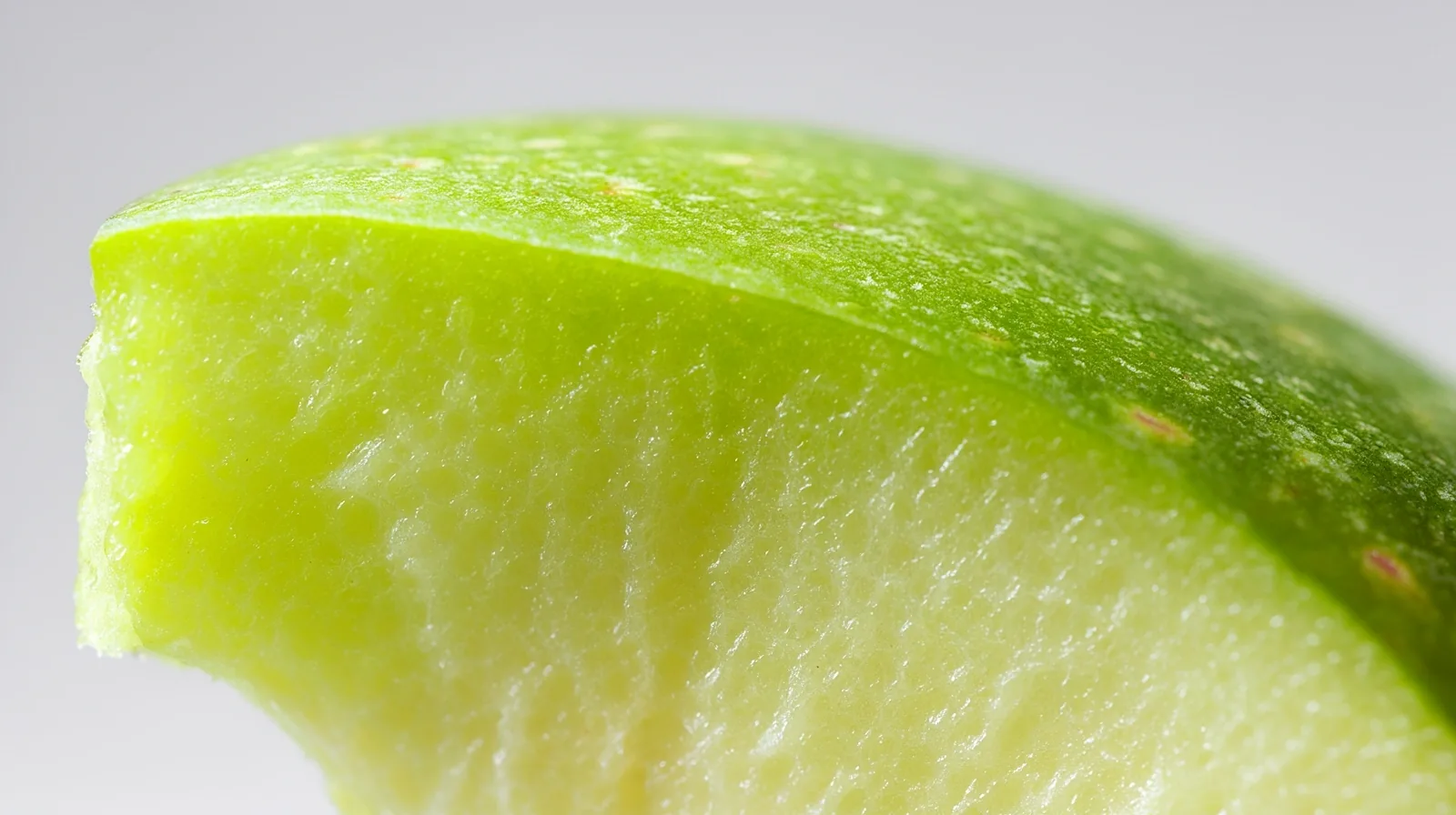 Estructura nutricional microscópica